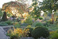 Autumn Garden 