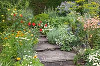 Staircase lined with shrubs 