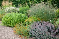 Gravel garden with perennials and grasses, Potentilla, Chrysanthemum serotinum Festtafel, Stipa gigantea, Sedum telephinum ruprechtii, Foeniculum vulgare 