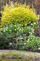 Tulip bed on the shore, Tulipa West Point, Tulipa Verona, Tulipa Flaming Coquette, Tulipa City of Vancouver, Narcissus Lemon Drops 