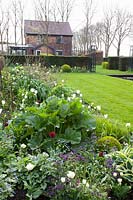 Bed in spring, Buxus sempervirens, Tulipa White Triumphator, Pulmonaria, Hakonechloa macra, Crambe cordifolia, Brunnera Jack Frost 