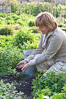 Woman spreads compost around perennials 