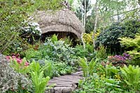 Woodland garden with rhododendrons and ferns 