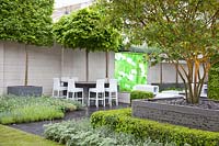 Modern garden with potted trees, Acer campestre, Acer platanoides Globosum, Convolvulus cneorum, Buxus, Thymus Silver Queen, Artemisia 