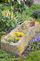 Stone trough with rock garden plants 