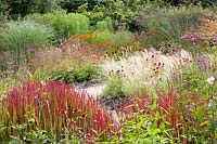 Bed with grasses, Imperata cylindrica Red Baron, Deschampsia cespitosa Goldschleier, Stipa tenuissima, Echinacea, Helenium 