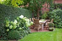 Seating in the shade, Hydrangea Annabelle 
