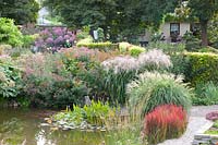 Pond shore with Imperata cylindrica Red Baron, Aralia californica, Eupatorium cannabium Plenum, Miscanthus sinensis Gewitterwolke, Miscanthus sinensis Yakushima Dwarf 