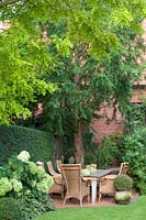 Seating in the shade, Hydrangea Annabelle, Metasequoia 