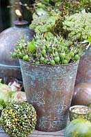 Green rose hips in copper vase 