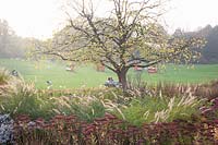 View with perennials in the foreground, Pennisetum orientale, Sedum 