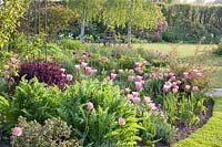 Bed with tulips and emerging perennials, Tulipa, Papaver orientale Charming 