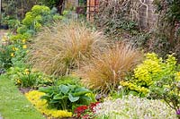 Bed with Pheasant's Tail Grass, Anemanthele lessoniana, Symphytum grandiflorum Goldsmith, Hosta, Primula, Lysimachia nummularia 