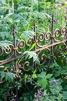 Antique metal fence 