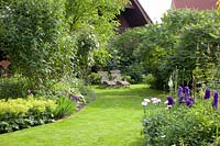 Hidden Seat, Rosa, Rhus typhina, Alchemilla mollis 