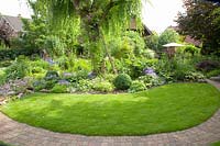 Home garden with lawn and pasture with climbing rose, Salix babylonica, Rosa Veilchenblau 