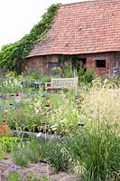 Hairgrass, Deschampsia cespitosa Scotland 