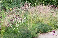 Bed with quaking grass, carthusian pink and spurge, Briza media, Briza maxima, Dianthus carthusianorum, Euphorbia cyparissias 