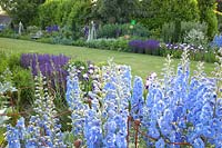 Bed with Delphinium Summer Skies, Salvia nemorosa Mainacht, Iris barbata Braithwaite 