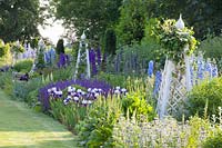 Bed with Delphinium Summer Skies, Delphinium Camelot, Delphinium King Arthur, Salvia nemorosa Mainacht, Iris barbata Braithwaite, Eryngium giganteum, Clematis 