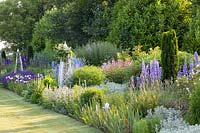 Bed with Delphinium Summer Skies, Delphinium Camelot, Delphinium King Arthur, Salvia nemorosa Mainacht, Iris barbata Braithwaite, Eryngium giganteum, Clematis 