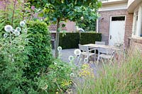 Seating under plane tree, Platanus hispanica, Echinops bannaticus Albus, Panicum virgatum, Taxus 