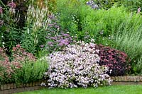 Sedum Purple Emperor, Saponaria lempergii Max Frei, Monarda Violet Queen, Sedum Abbeydore, Calamintha nepeta, Eupatorium, Veronicastrum 