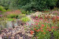 Sedum Matrona,Echinacea purpurea Tomato Soup,Echinacea purpurea Raspberry Truffle,Elymus magellanicus,Stipa tenuissima 