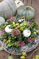 Arrangement with Cucurbita pepo, Prunus laurocerasus, Sedum, Cynara, Paulownia 