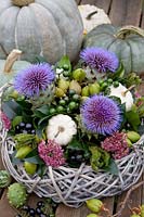 Arrangement with Cucurbita pepo, Prunus laurocerasus, Sedum, Cynara, Paulownia 