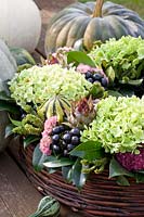 Arrangement, Cucurbita pepo, Sedum Herbstfreude, Hydrangea arborescens Annabelle, Ilex, Cynara cardunculus Rouge d'Alger, Solanum melanocerasum, Eleusine coracana Green Cat 