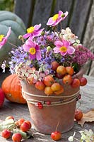 Arrangement with perennials and ornamental apples, Malus, Aster laevis Calliope, Anemone hupehensis Splendens, Sedum Herbstfreude 
