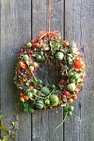 Wreath of hydrangeas, ornamental pumpkins, ornamental apples and ornamental cucumbers, Hydrangea macrophylla, Malus, Cucurbita pepo, Diplocyclos palmatus, Cucumis hirsutus, Cucumis zeiheri, Physalis alkekengi 