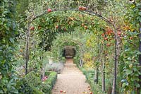 Espalier with apple trees, Malus domestica 