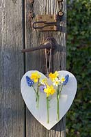 Heart with small vases and bulbous plants, Muscari armeniacum, Narcissus Tete a Tete, Narcissus Minnow, Viola cornuta 