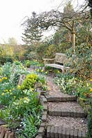 Hillside Garden, Narcissus Jetfire, Narcissus Jack Snipe, Euphorbia, Helleborus, Alyssum 
