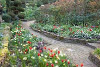 Away with daffodils, tulips and snowdrops, Narcissus Jack Snipe, Tulipa kaufmanniana Showwinner, Chionodoxa forbesii 