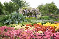 Azalea, Rhododendron, Wisteria, Cynara 