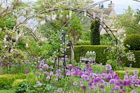 Seating area in the garden with climbing plants and ornamental onions, Solanum crispum Glasnevin, Allium giganteum, Allium Purple Sensation 