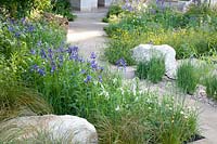 Bed with Iris sibirica Perry's Blue, Luzula nivea, Aquilegia, Gladiolus tristis 