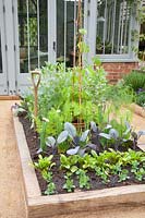 Bed with Vicia faba, Brassica oleracea, Pisum sativum, Allium fistulosum 