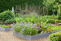 Vegetable garden with Allium schoenoprasum, Beta vulgaris, Pisum sativum Carouby de Maussane, Lactuca sativa 