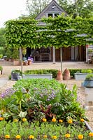 Vegetable garden with tree hedge, Carpinus betulus, Beta vulgaris, Allium schoenoprasum, Tagetes, Solanum tuberosum, Daucus carota 