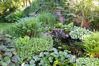 Pond with ornamental foliage plants, Hosta, Ligularia, Nymphaea, Stratiotes aloides 