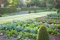 Vegetable garden with cauliflower, broccoli, spinach, lettuce, radishes, Brassica oleracea, Spinacia oleracea, Lactuca sativa, Raphanus sativus 
