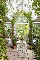 Greenhouse with rose chalice, Rhododochiton atrosanguineus 