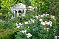 Roses in the classic garden, pink 