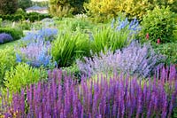 Salvia nemorosa Blauhügel,Nepeta faassenii Walker's Low,Delphinium belladonna Piccolo, Salvia nemorosa Tänzerin 