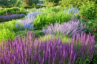 Salvia nemorosa Blauhügel,Nepeta faassenii Walker's Low,Delphinium belladonna Piccolo, Salvia nemorosa Tänzerin 