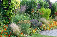 Bed with Achillea Feuerland, Tropaeolum majus, Nassella tenusissima, Stipa tenuissima, Salvia sylvestris Blauhügel, Clematis Etoile Violette, Hemerocallis Stafford 